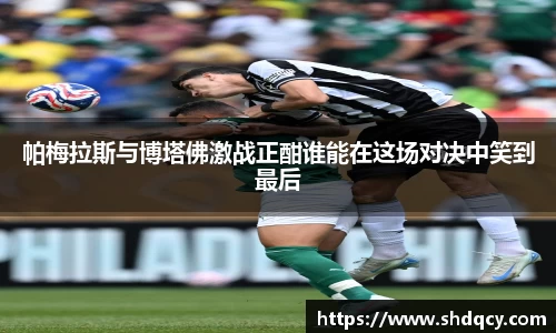 帕梅拉斯与博塔佛激战正酣谁能在这场对决中笑到最后