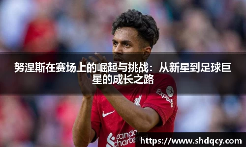 努涅斯在赛场上的崛起与挑战：从新星到足球巨星的成长之路